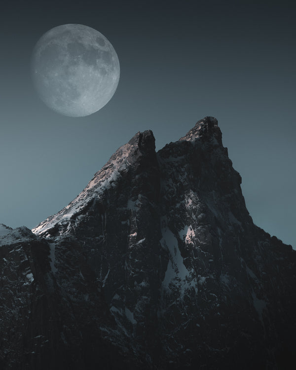 Arctic Moonrider